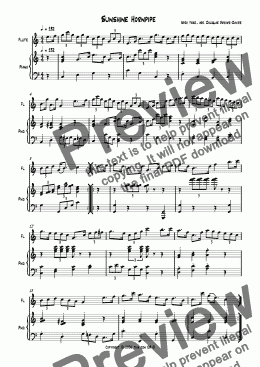 page one of Hornpipe: Sunshine hornpipe for flute and piano