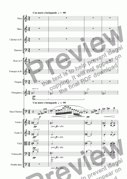 page one of Clarinet Concerto - II (Full score) solo part for bass clarinet