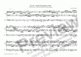 page one of Nr. 6b:  d moll Triosonate 2 Satz