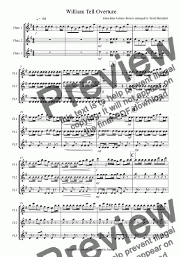 page one of William Tell Overture for Flute Trio