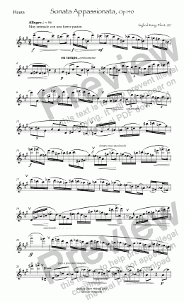 page one of Karg-Elert Sonata Appassionata, Op 140