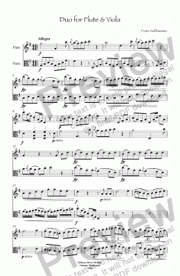 page one of Hoffmeistere Duet for Flute & Viola