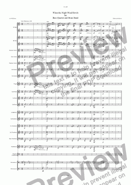 page one of (BRASS BAND) When the Night Wind Howls  for  Bass Quartet and Brass Band