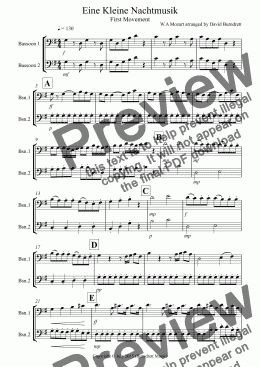page one of Eine Kleine Nachtmusik (1st movement) for Bassoon Duet
