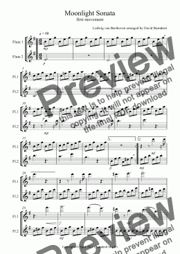 page one of Moonlight Sonata (1st movement) for Flute Duet