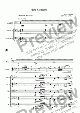 page one of Flute Concerto First Movement