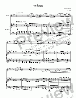 page one of Andante for Flute & Piano