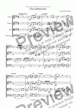 page one of Chrysanthemums / I Crisantemi for string quartet