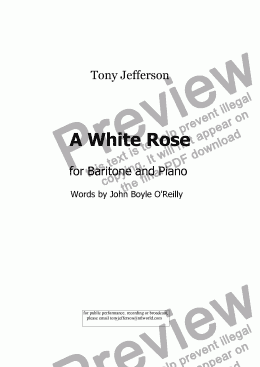 page one of A White Rose