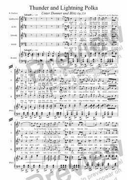 page one of Thunder and Lightning Polka,  RV324