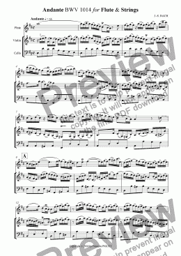 page one of Andante BWV 1014 for Flute & Strings