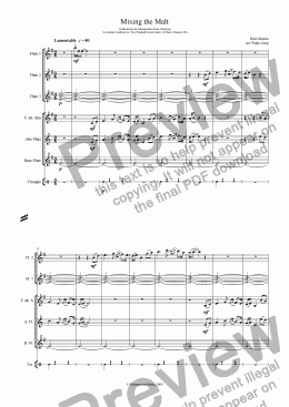 page one of Mixing the Malt - Flute Orchestra