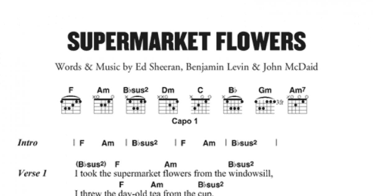 Supermarket Flowers Guitar Chords
