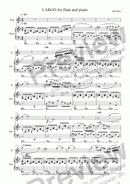 page one of LARGO for flute and piano