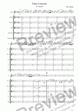 page one of Flute Concerto 2nd mvt - Lament