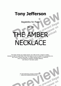 page one of The amber necklace