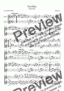 page one of Fur Elise – Flute Duet