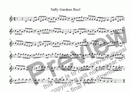 page one of Sally Gardens Reel