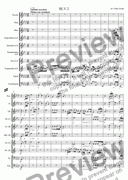 page one of Beethoven 5th Symphony-2