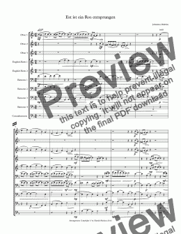 page one of  3 Brahms Organ Preludes