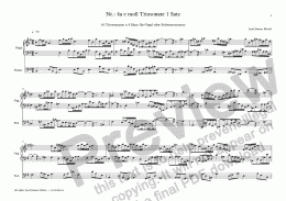 page one of Nr.: 4a e moll Triosonate 1 Satz