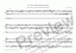 page one of Nr.: 10b  g moll Triosonate 2 Satz