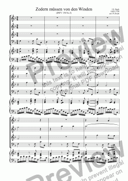 page one of Zedern müssen von den Winden (Bach)