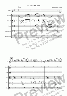 page one of THE MINSTREL BOY - Flute + Strings op.5 no.3 