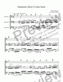 page one of Schümcke Dich O Liebe Seele for Bassoon Trio