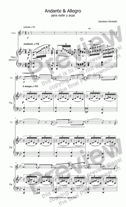 page one of Donizetti Andante & Allegro for violin or flute & harp