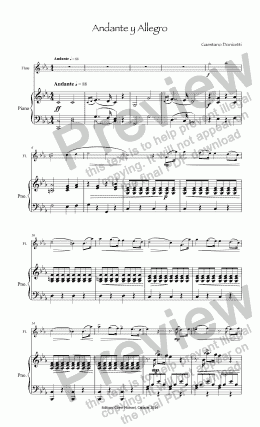 page one of Donizetti Andante Allegro for flute & pno