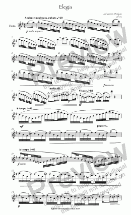page one of Elegia Etude for flute