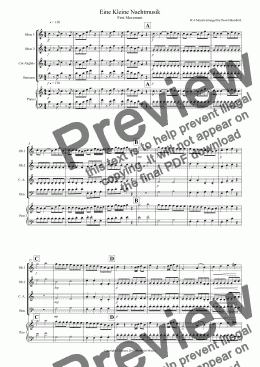 page one of Eine Kleine Nachtmusik (1st movement) for Double Reed Quartet