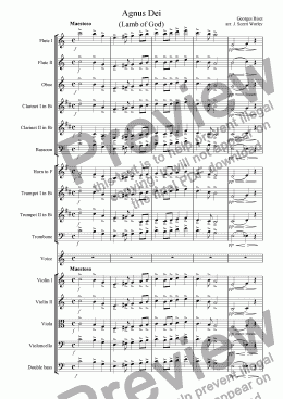 page one of Agnus Dei