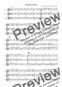 page one of Drunken Sailor for Flute Trio
