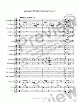 page one of Andante from Symphony No. 5