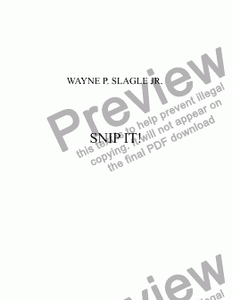 page one of SNIP IT!