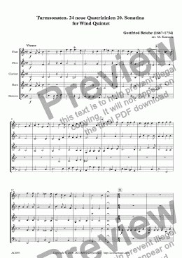 page one of Turmsonaten. 24 neue Quatrizinien 20. Sonatina for Wind Quintet