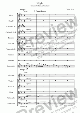 page one of Night: Concerto for Flute and Orchestra