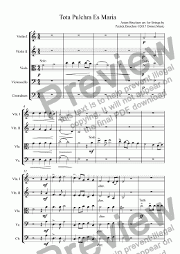 page one of Bruckner - Tota Pulchra Es Maria for Strings