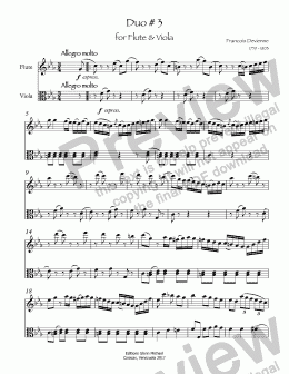 Music Theory Final Sheet music for Flute, Violin (Mixed Duet