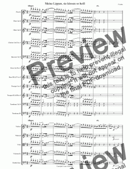 page one of Lehar: Meine Lippen, sie küssen so heiß in E minor for Soprano Score and Parts