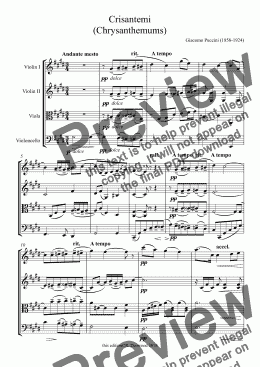 page one of Puccini - Crisantemi (Chrysanthemums) for string quartet (original in new edition)