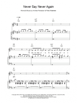page one of Never Say Never Again (Piano, Vocal & Guitar Chords)