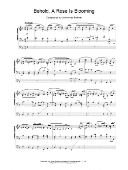 page one of Behold, A Rose Is Blooming (Organ)