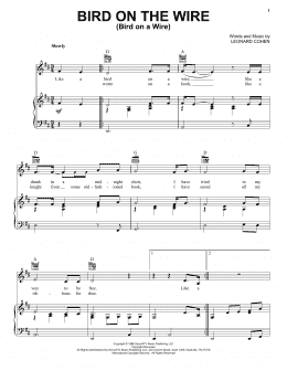 page one of Bird On The Wire (Bird On A Wire) (Piano, Vocal & Guitar Chords (Right-Hand Melody))