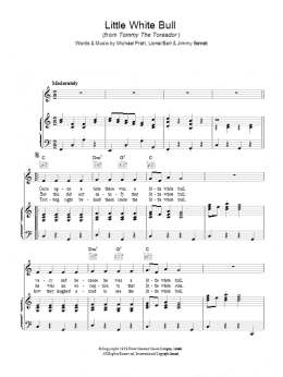 page one of Little White Bull (Piano, Vocal & Guitar Chords)