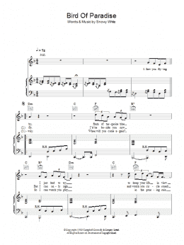 page one of Bird Of Paradise (Piano, Vocal & Guitar Chords)