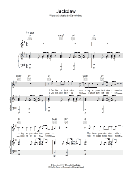 page one of Jackdaw (Piano, Vocal & Guitar Chords)