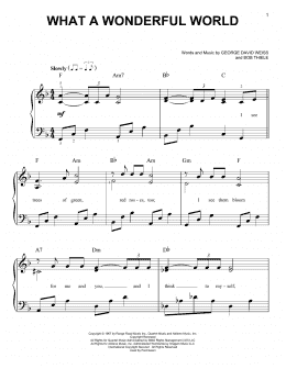 page one of What A Wonderful World (Easy Piano)